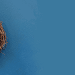 Banner-H2_728x188_01