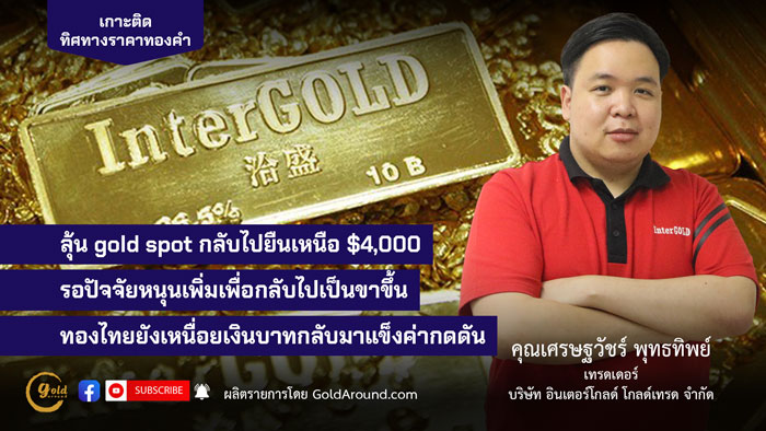 เศรษฐวัชร์ พุทธทิพย์ (ฮาย) เทรดเดอร์อินเตอร์โกลด์