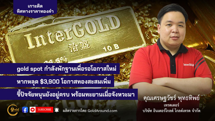 เศรษฐวัชร์ พุทธทิพย์ (ฮาย) เทรดเดอร์อินเตอร์โกลด์